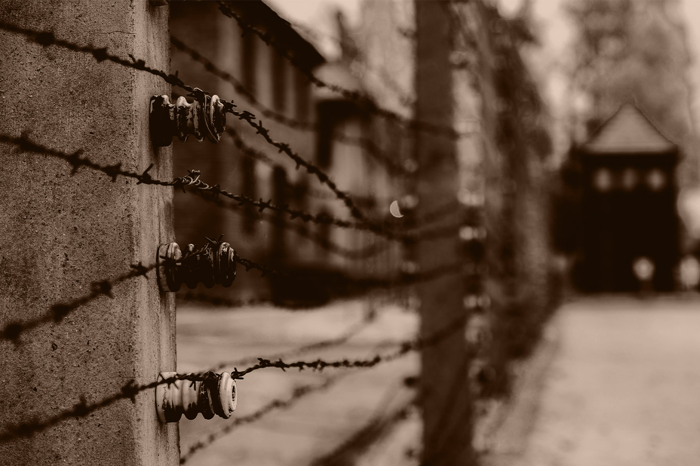 Alambradas del campo de concentración de Auschwitz-Birkenau.